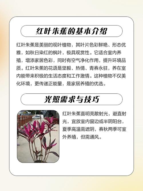 红叶朱焦无根能水培生根吗？-第1张图片-吾爱花网