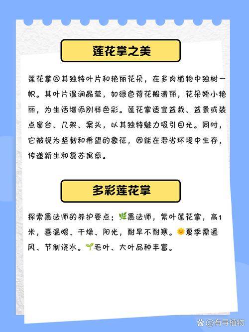 莲花掌开花后会死吗？-第2张图片-吾爱花网