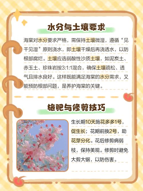 龙须海棠怎么养才爆盆？-第2张图片-吾爱花网