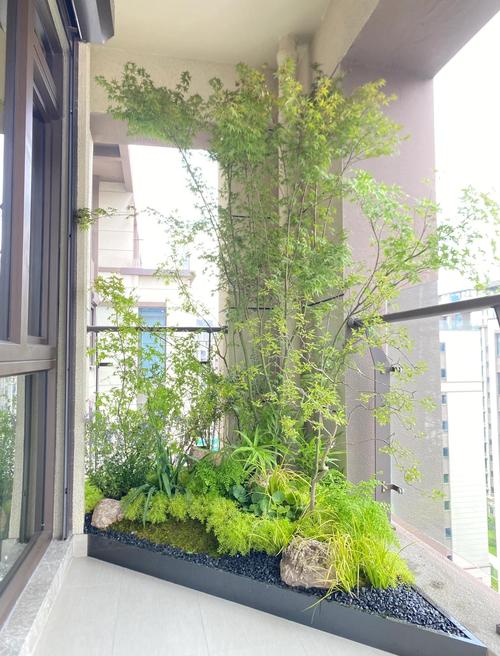 阳台东面盆栽如何摆放才旺风水？-第1张图片-吾爱花网