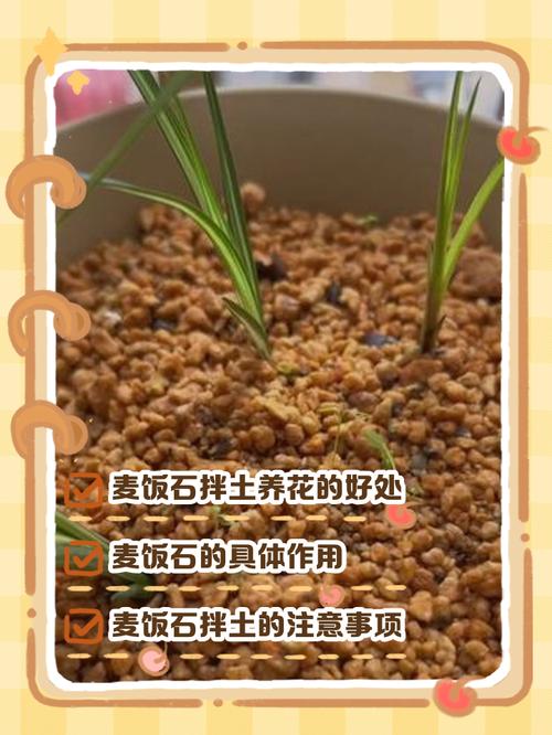 麦饭石花盆养多肉真有这些缺点吗？-第2张图片-吾爱花网