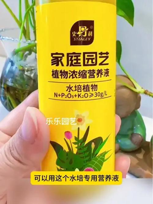 水培苗期营养液应稀释多少倍？-第3张图片-吾爱花网