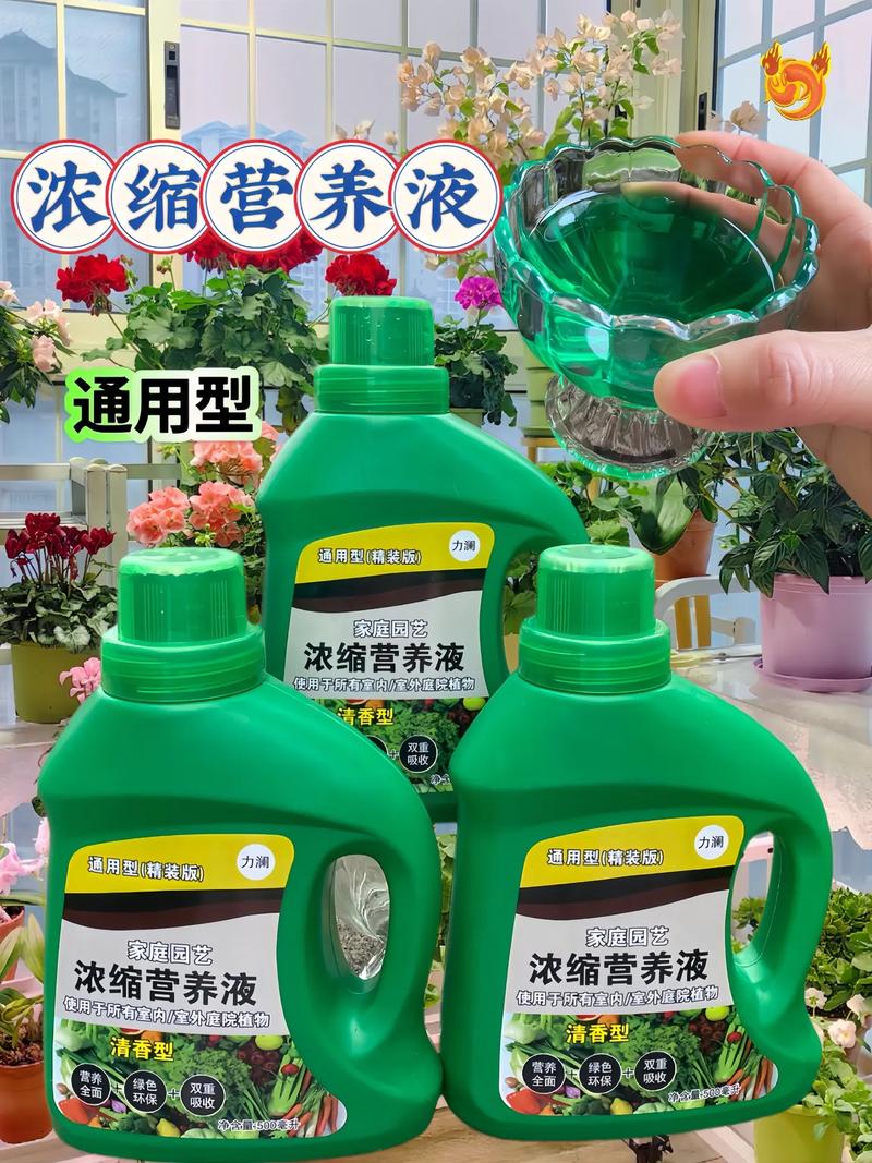 水培花必须加营养液吗？-第3张图片-吾爱花网