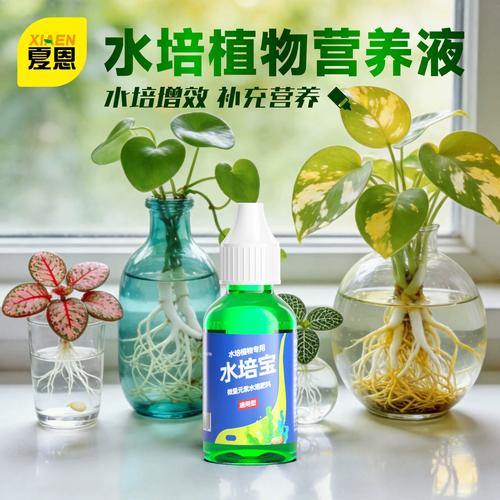 复合肥水培会烧根吗？-第1张图片-吾爱花网