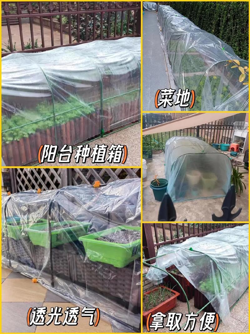 北方多肉过冬暖棚，自制如何保温？-第2张图片-吾爱花网