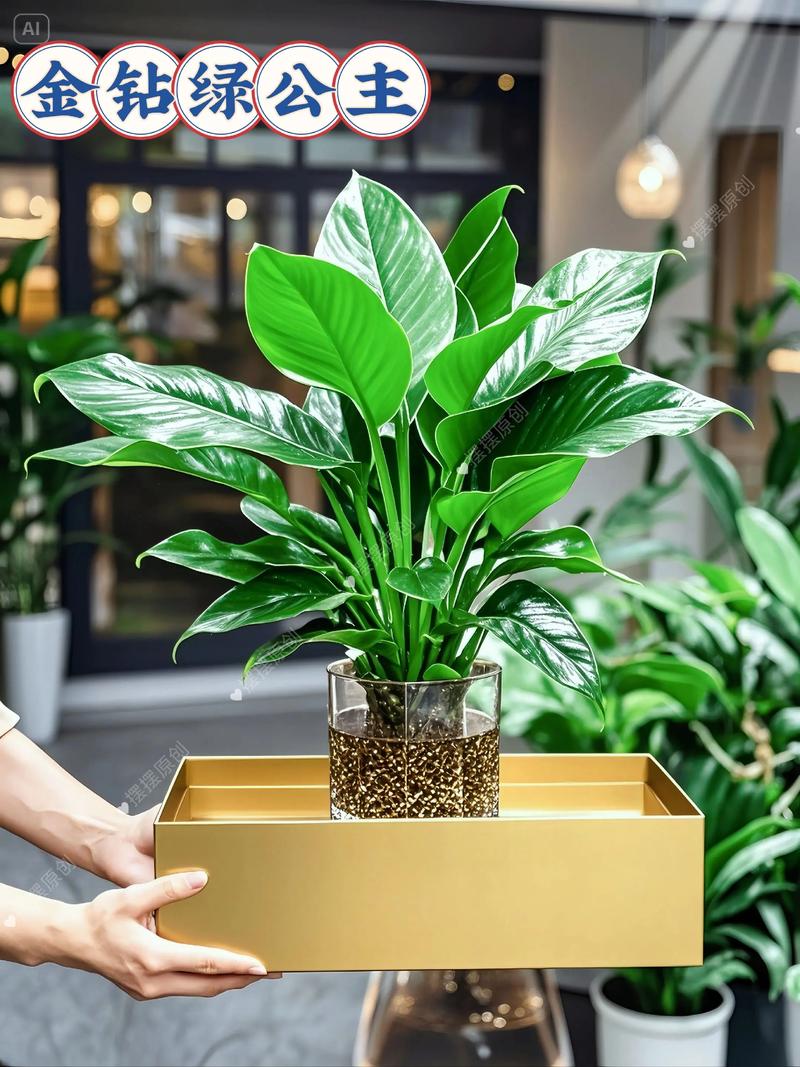 办公司适合养什么盆栽？-第2张图片-吾爱花网