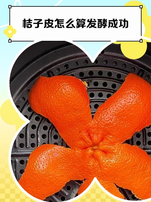 桔子皮发酵后能直接水培吗？-第1张图片-吾爱花网