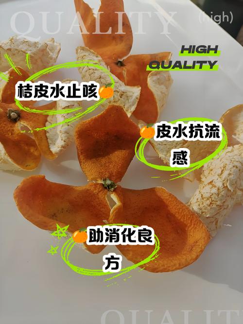 桔子皮发酵后能直接水培吗？-第2张图片-吾爱花网