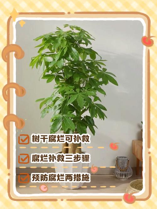 盆栽干枯了还能救活吗？-第1张图片-吾爱花网