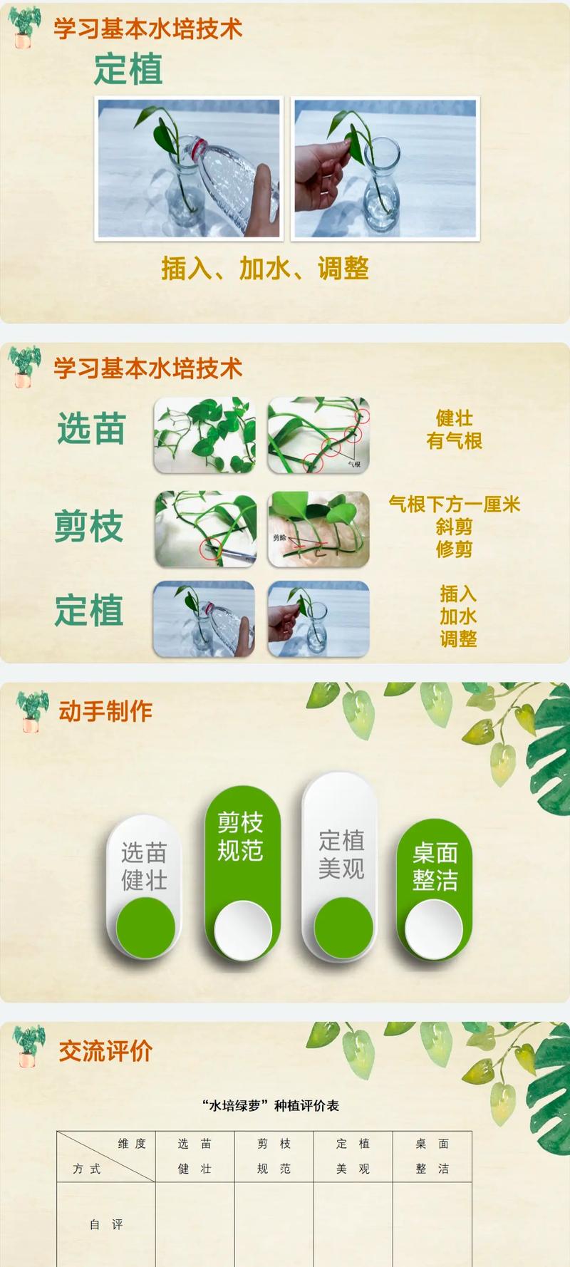 水培绿萝转土培为何难活？-第2张图片-吾爱花网