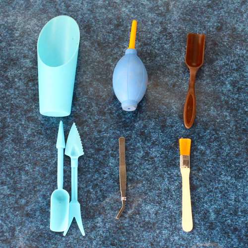 多肉工具哪些最实用？-第1张图片-吾爱花网