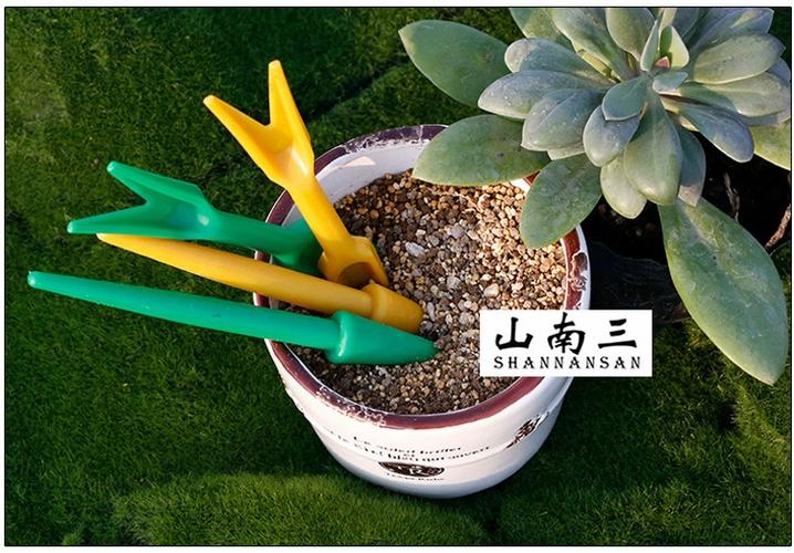 多肉工具哪些最实用？-第2张图片-吾爱花网