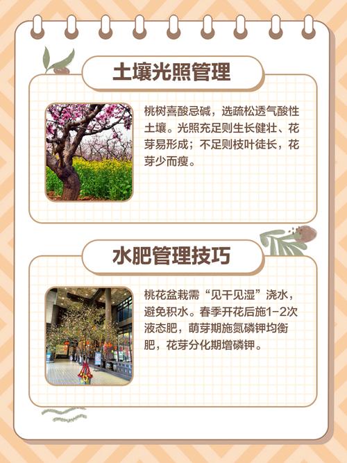 桃花盆栽怎么养才能花繁叶茂？-第1张图片-吾爱花网