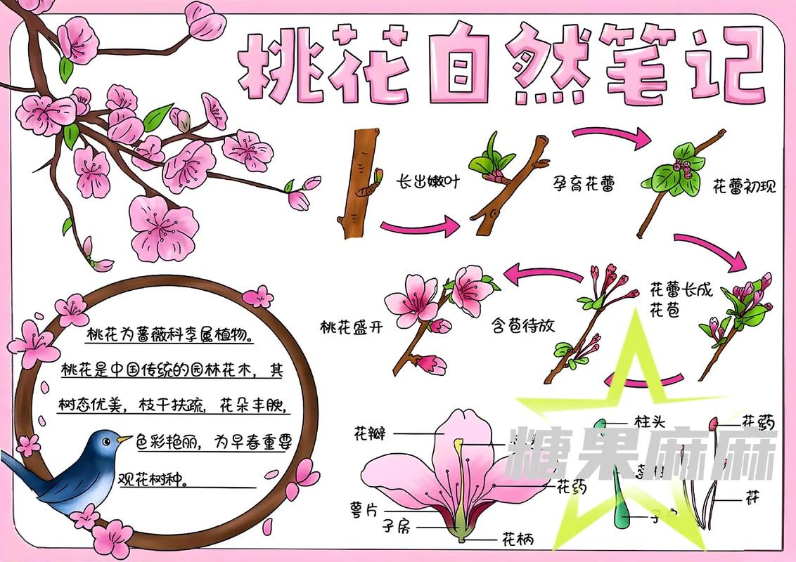 桃花盆栽怎么养才能花繁叶茂？-第3张图片-吾爱花网