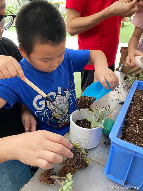 孩子多肉种植图片有哪些经典造型？-第1张图片-吾爱花网