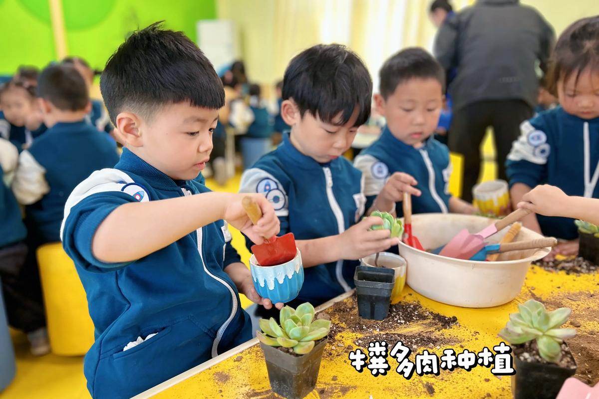 孩子多肉种植图片有哪些经典造型？-第3张图片-吾爱花网