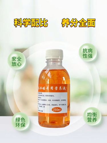水培营养液用什么药合适？-第2张图片-吾爱花网