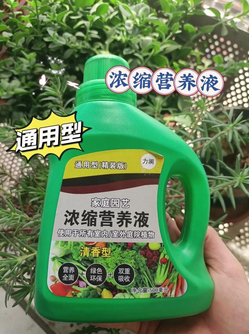 水培营养液用什么药合适？-第3张图片-吾爱花网