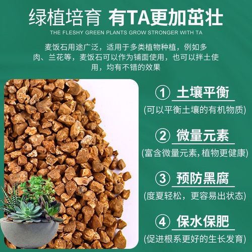 多肉土加麦饭石到底有啥用？-第3张图片-吾爱花网