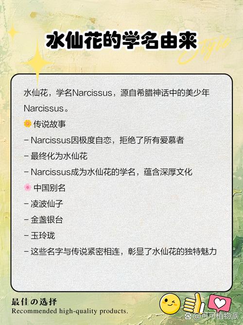 水培水仙花为何要雕刻？-第2张图片-吾爱花网