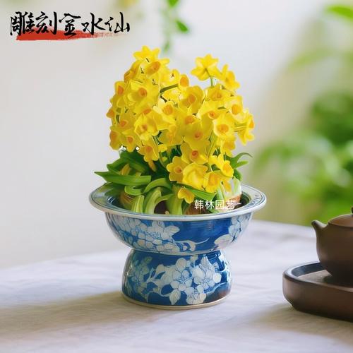 水培水仙花为何要雕刻？-第1张图片-吾爱花网