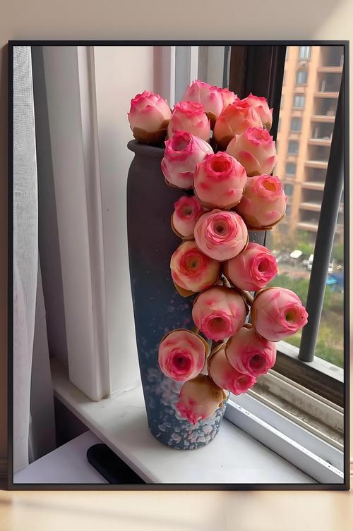 多肉玫瑰品种怎么认？图鉴大全有哪些？-第3张图片-吾爱花网