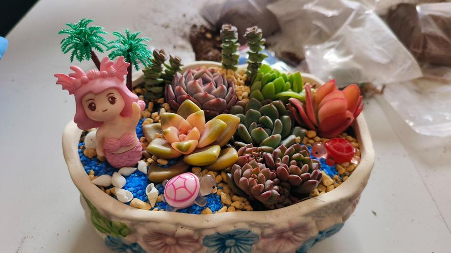 DIY多肉小盆栽，怎么养才更美？-第1张图片-吾爱花网