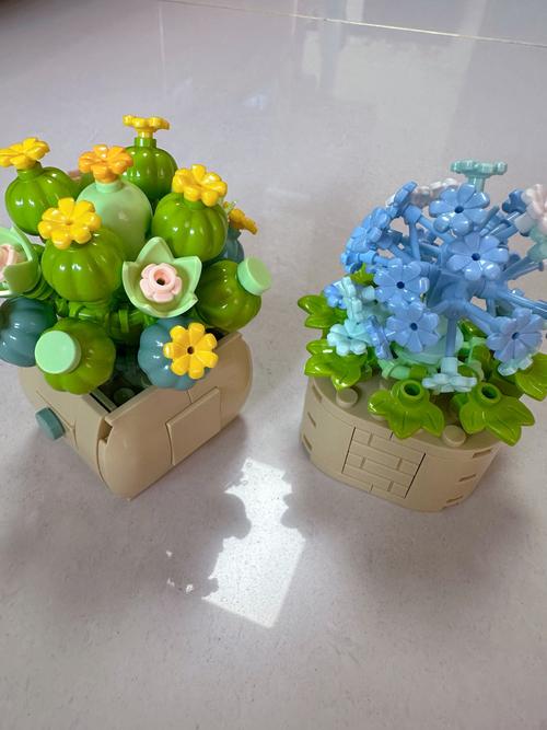 DIY多肉小盆栽，怎么养才更美？-第2张图片-吾爱花网