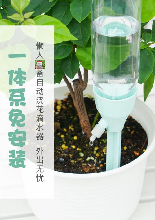 盆栽自动滴水装置怎么用？-第2张图片-吾爱花网