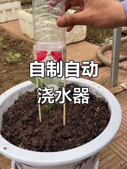盆栽自动滴水装置怎么用？-第3张图片-吾爱花网