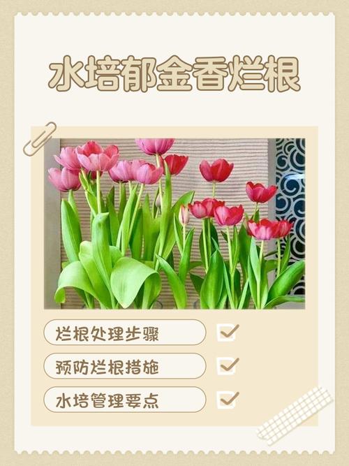 剪根后水培花还能重新生长吗？-第2张图片-吾爱花网