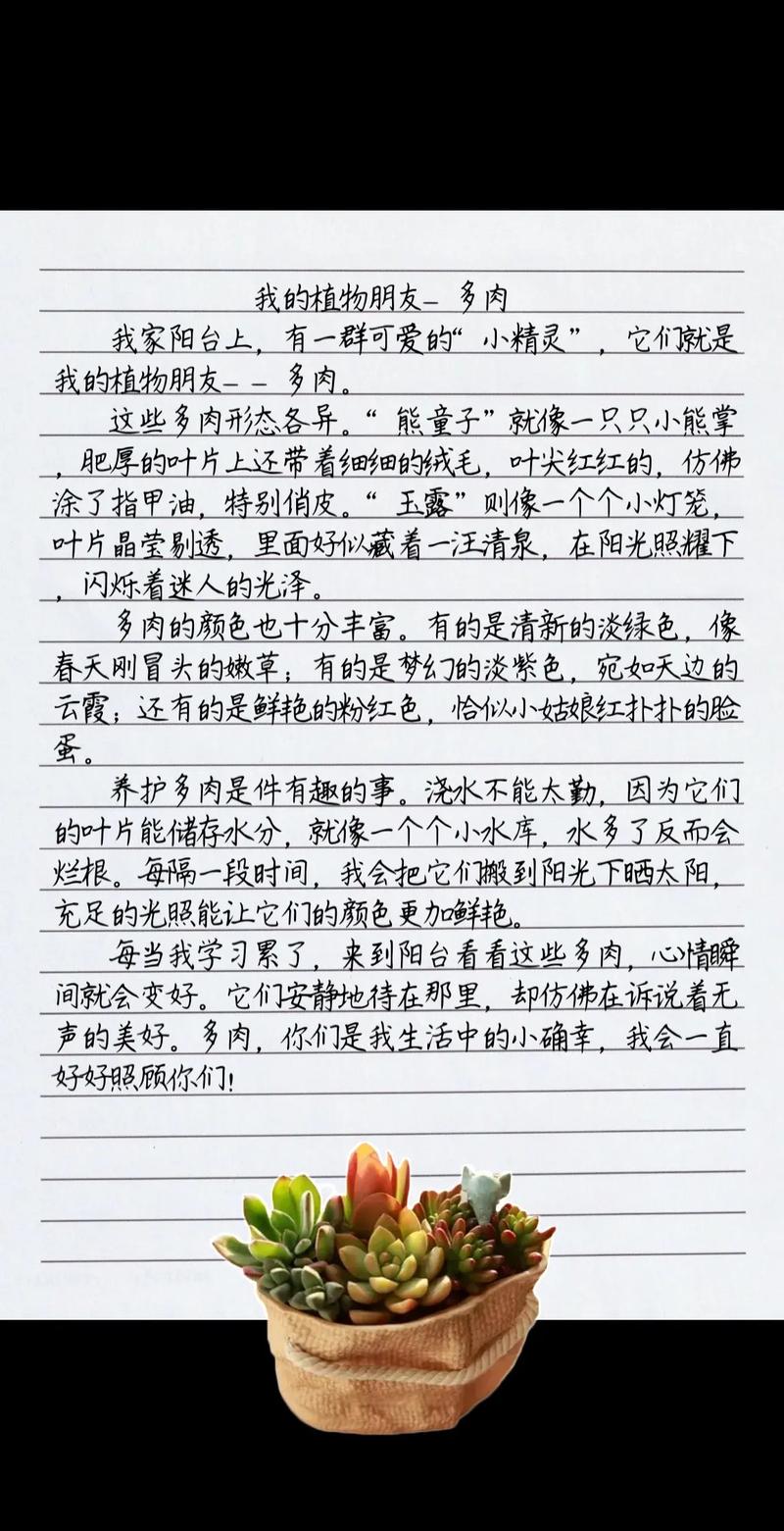 芙蓉雪莲如何养出多肉胖乎乎的可爱模样？-第2张图片-吾爱花网