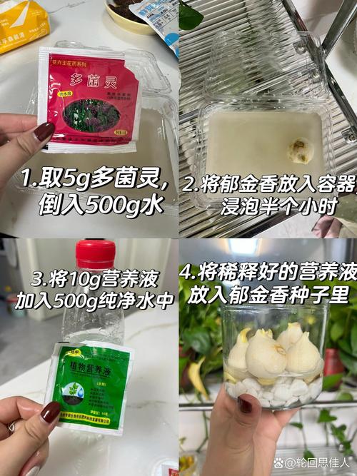 水培如何用多菌灵消毒-第2张图片-吾爱花网