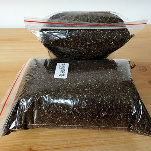 盆栽养花土肥料放多少-第1张图片-吾爱花网