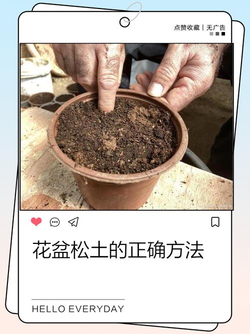 盆栽怎么提高土壤肥力-第1张图片-吾爱花网