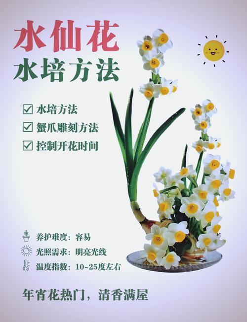 水培水仙花加糖会怎样？-第1张图片-吾爱花网