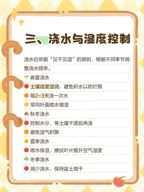 橡皮树夏天可以水培吗-第3张图片-吾爱花网