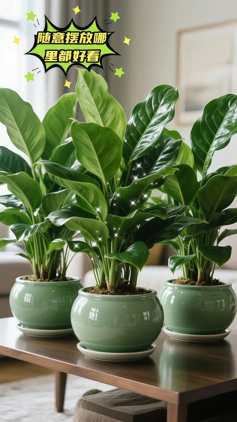 卧室放哪种绿植最合适？-第1张图片-吾爱花网
