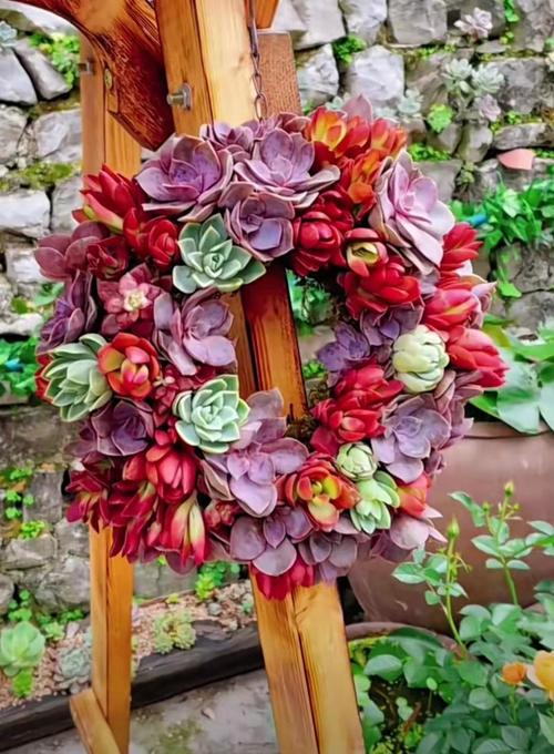 多肉庭院造型怎么设计更出彩？-第1张图片-吾爱花网