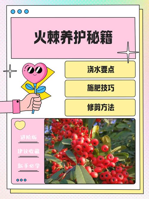 盆栽火棘冬季怎么养护？-第1张图片-吾爱花网