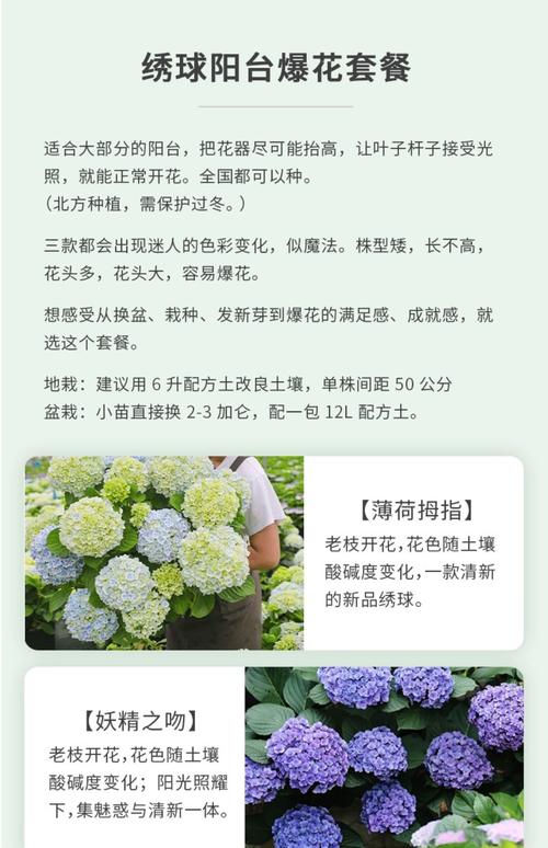 园林盆栽花卉种植有何独特意义？-第2张图片-吾爱花网