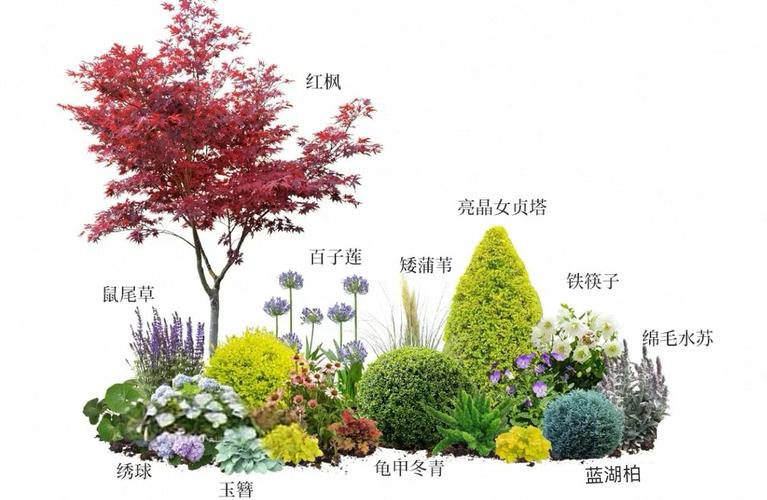 园林盆栽花卉种植有何独特意义？-第3张图片-吾爱花网