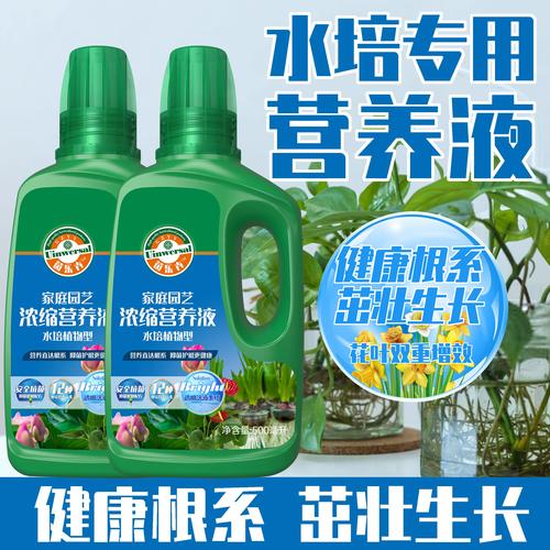 水培风信子不施肥能开花吗？-第2张图片-吾爱花网