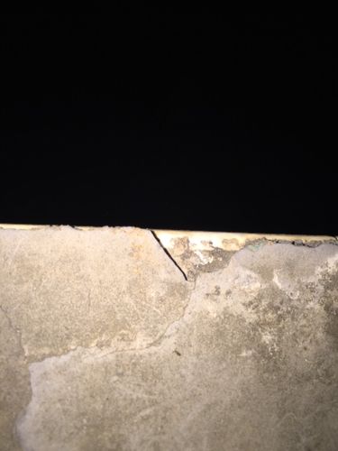 多肉植物黑色虫害怎么治？-第1张图片-吾爱花网