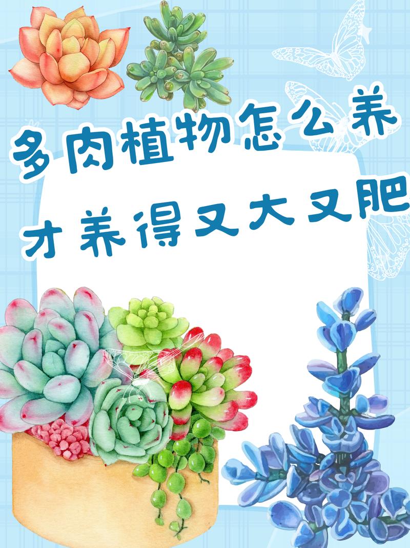 多肉冬季施肥怎么才安全？-第3张图片-吾爱花网