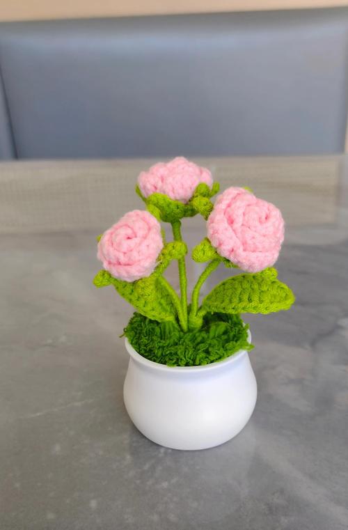 玫瑰盆栽怎么养？视频教程教你轻松上手！-第1张图片-吾爱花网