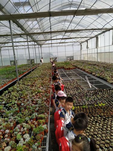 多肉花卉养殖基地在哪-第1张图片-吾爱花网