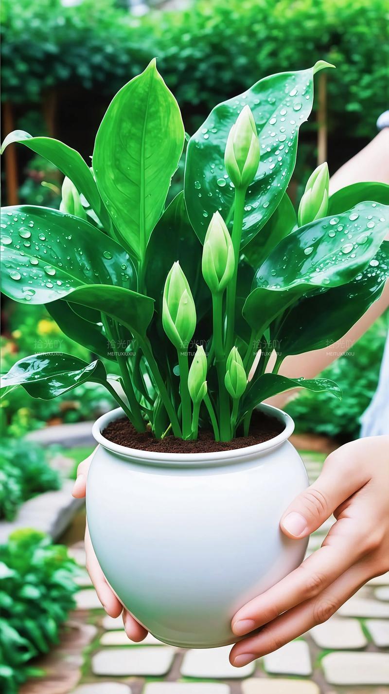 小孩养盆栽有哪些注意事项？-第2张图片-吾爱花网