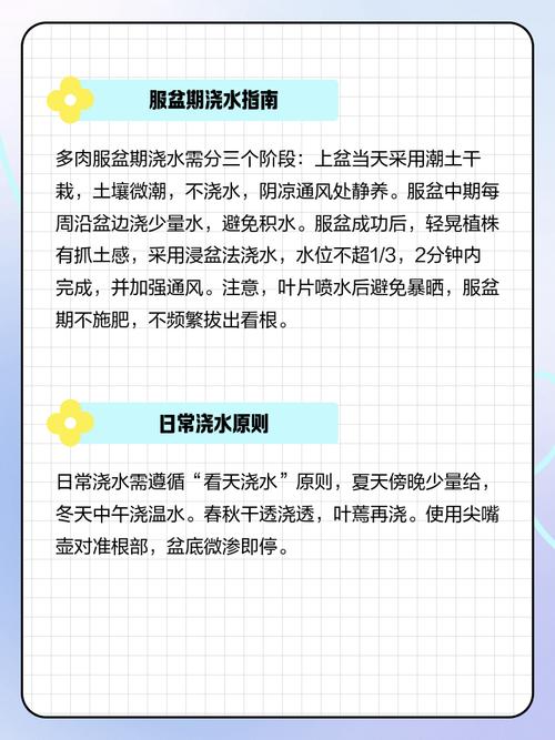 鹰爪多肉夏季浇水怎么浇？-第3张图片-吾爱花网