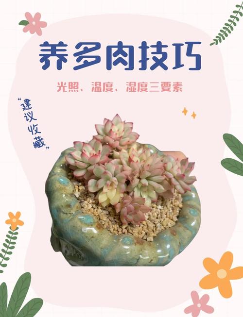 多肉土壤酸化怎么办?-第1张图片-吾爱花网 多肉土壤酸化怎么办?-第1张图片-吾爱花网